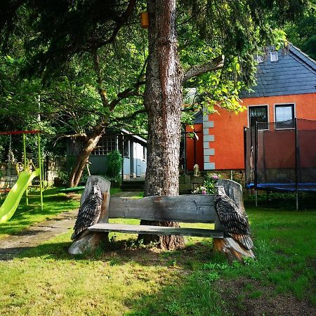 הוילה פירנה Ferienhaus Franz - An Der Elbe, Mit Grossem Garten מראה חיצוני תמונה